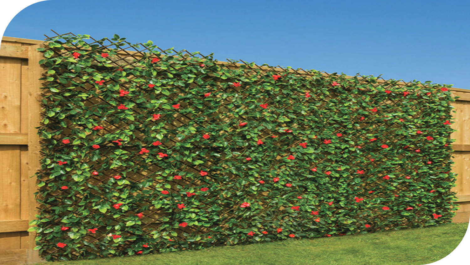 Expandable Privacy Fences